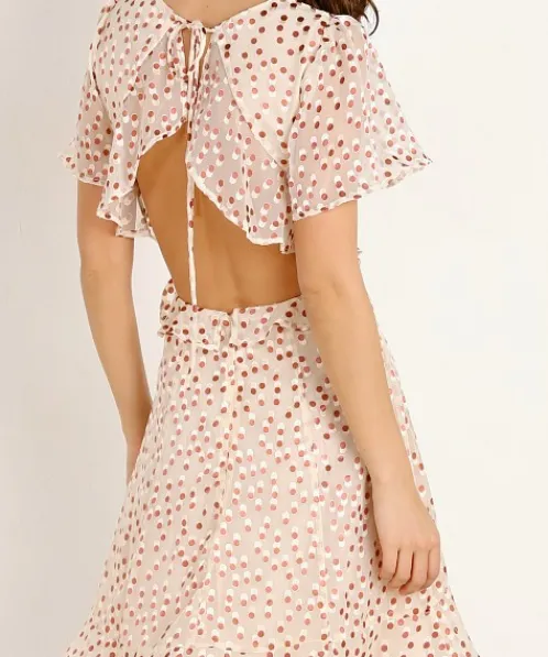 ASTR the Label Dresses>Elise Dress Cream Clay Dot