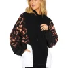 Beach Riot Jackets | Jackets>Stella Popover Torte