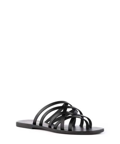 Seychelles Sandals>Nice Try Strappy Sandal Black
