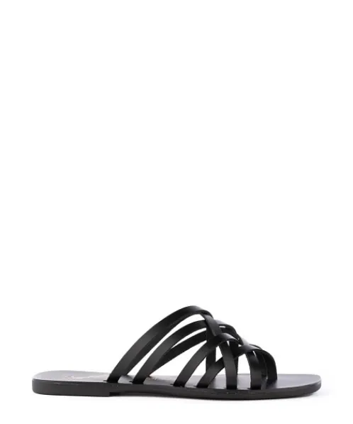 Seychelles Sandals>Nice Try Strappy Sandal Black
